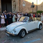 Kirstee Wilson's photo