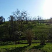 Corby Williams's photo