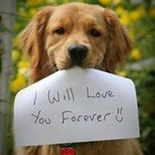 Florentina Constantin's photo
