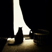 Photo de Tim Toole