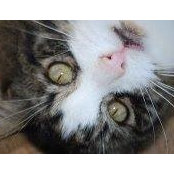 Frances Craig's photo