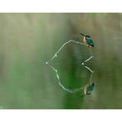 Katherine Kawa's photo