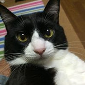 Sadamune Igarashi's photo