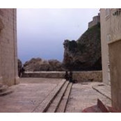 Elisa Ranieri's photo