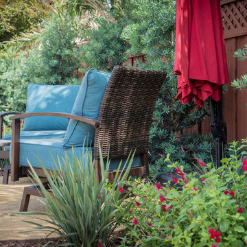 Backyard Circulation and Color