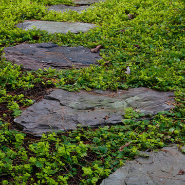 Lisa Wilcox Deyo Landscape Architecture, LLC