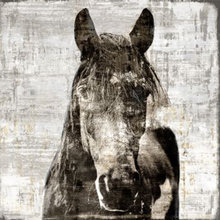 Molina - Horses