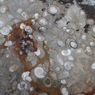 Fossil Marble Table Tops
