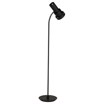 Claudius Floor Lamp, Black and Brass Finished Metal