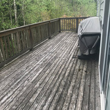 Hillblom Backyard