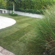 lawn