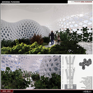 AMOEBA FUSION | INTERIORS