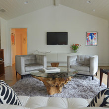 Living/Family Rooms
