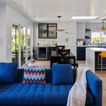 interior Remodel, Cambrian Area