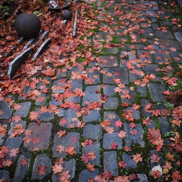 秋のエントランス
