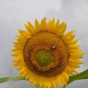 Donna Burke's photo