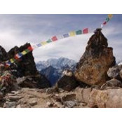 Anna Meola's photo