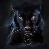 Mary Obermark's photo