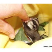 Heidi White's photo