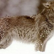 Bettina Graw's photo