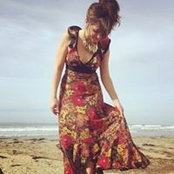 Photo de Misty Rose