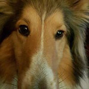 Laurie Kanin's photo