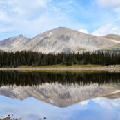 Marc Gottlieb's photo