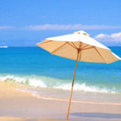 Leslie Haberman's photo