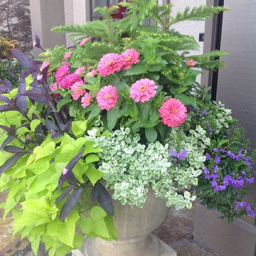Flowers and Decorative Flower Pots