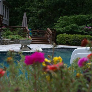 Bringing Life to the Backyard- A Remodel