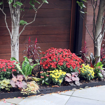 Fall Containers