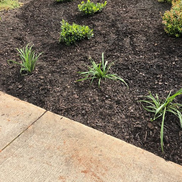 Landscape Design