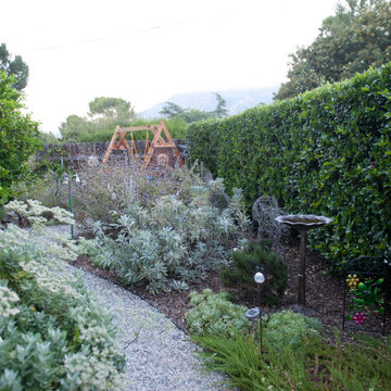 Hydrated Foliage Separates Wood & Home