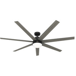 Transitional Ceiling Fans by Hunter Fan Company