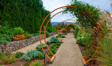 Yard of the Week: Exuberant Gardens and Wine Country Living