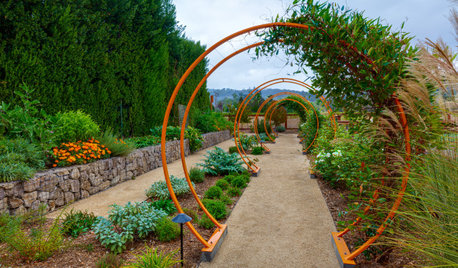 Yard of the Week: Exuberant Gardens and Wine Country Living