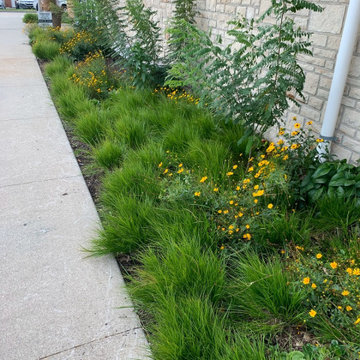 Native Plant Landscaping, Hardscaping, and Bioswales