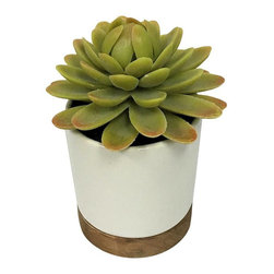 Artificial Plant in White Pot Small - Threshold&trade; - Products