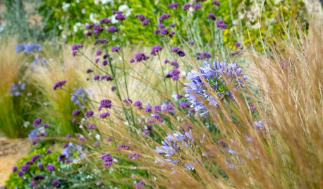 Conseils de pro pour associer vos plantes au jardin