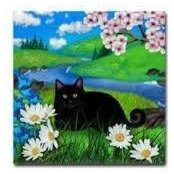Foto de Candy Severson
