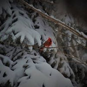 Darci Jayne's photo