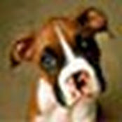 Scott Kukers foto