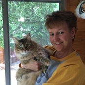 Stephanie Strzalka's photo