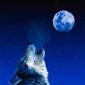 Michelle Olson's photo