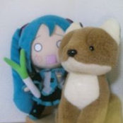 Satoshi Shibata's photo