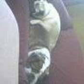 Nic Osterberg's photo