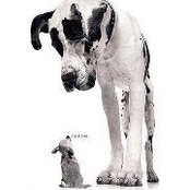 Brenna Widdison's photo