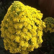Pam Storrer's photo