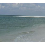 Ann Pike's photo