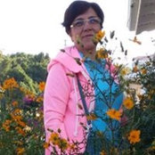 Ayşe Velioglu's photo